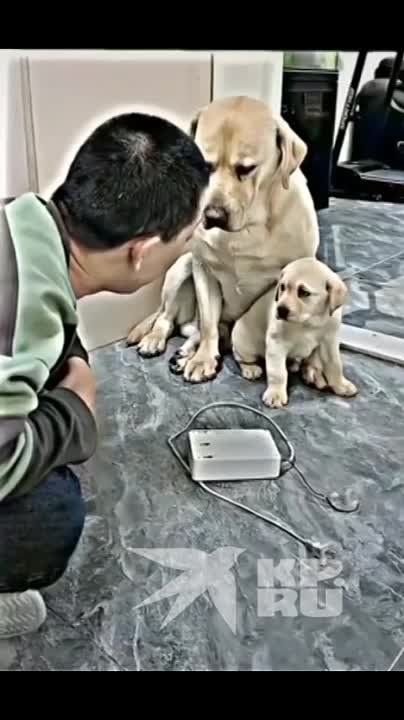 ���� � ����� ����). ��������, ������� � ������ � ����� �� �����