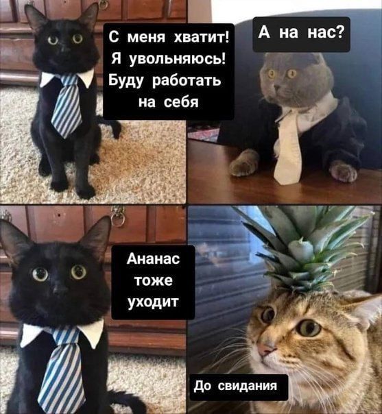 ������ ��������� ������ � �����������? ��������� �� ������ �����������!