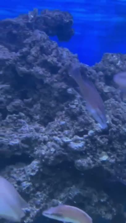 � ������ ���� ��������� ������� ����������������� ����