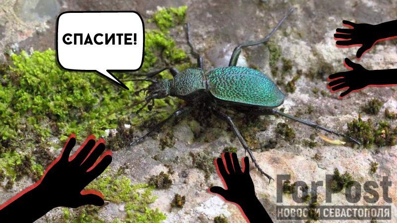 ���� ����� �������� ������ �� ����������� ������������� �����