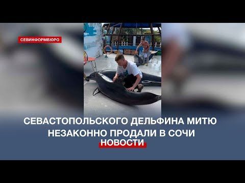 ���������������� �������� ���� �� ������������ ��������� ��������� ������� � ����