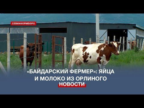 � ������ � ������������ �������: ������ ����������� ���� � ������ ���������� �� ����� � �������