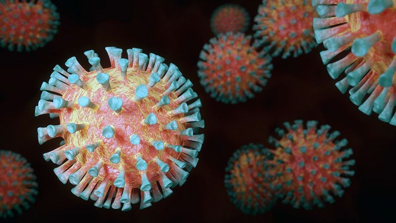 ����������� � ����� �� 29 ���: ���� 19