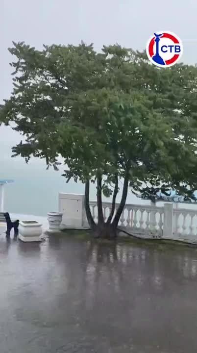 ��� ��� ������? ������ ����� ����� � �����������, � ��������� ������� ������ ����� �����