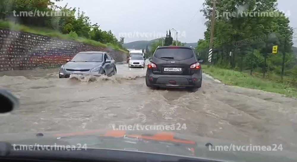 ������ �� ������ � �������� �� ������� ����������� ������������ � ����