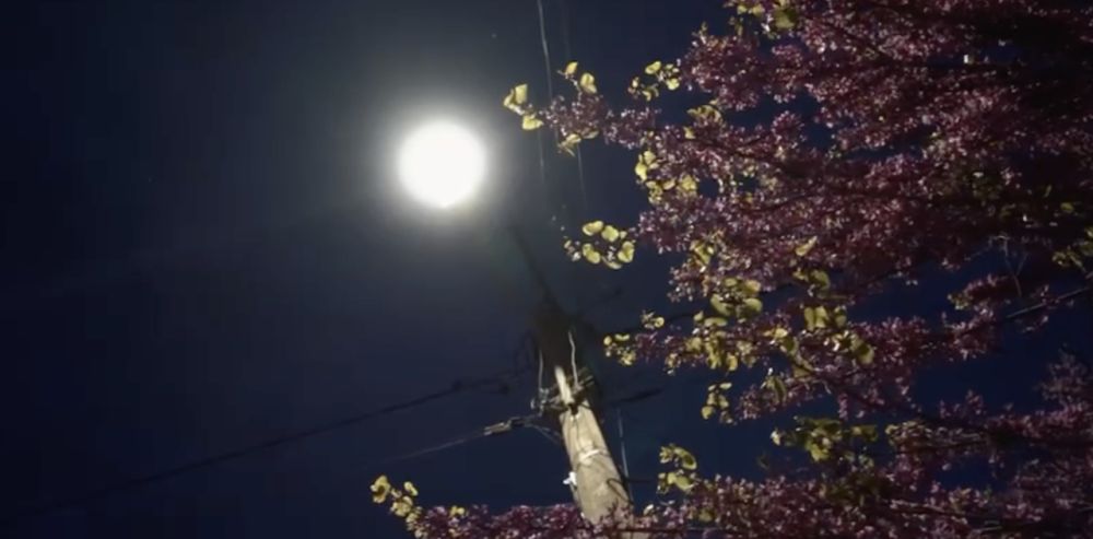 � �������� ������� ���������� ����� ����������