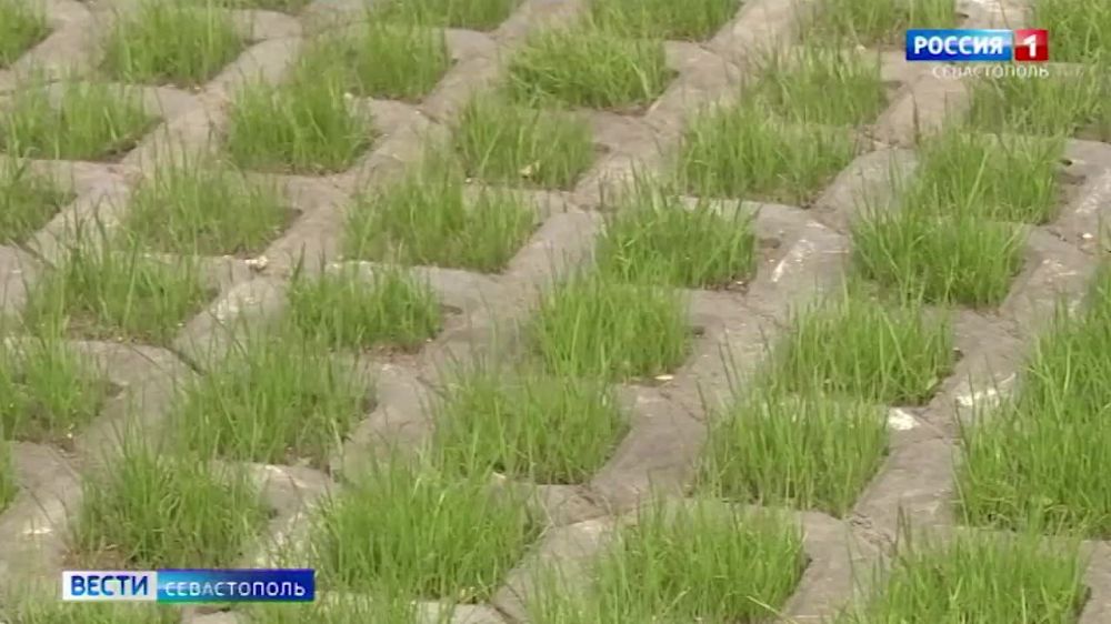 ������� ����� �� �������� ������������� ����� ������ ��� �� 98%. ������� � ������ ������������� ������� ��������� ���������� �� �������� �����������