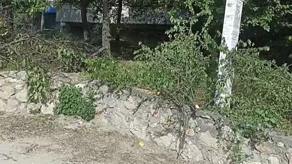 ��������� ������: ������������� ������������ �� �������, ��-�� ������� �� ����� ������
