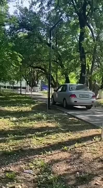 �����������, ��. ���������������