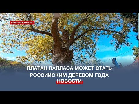 ������ ������� � ���� �������� ����� ����� ���������� ������� ���� � 2023