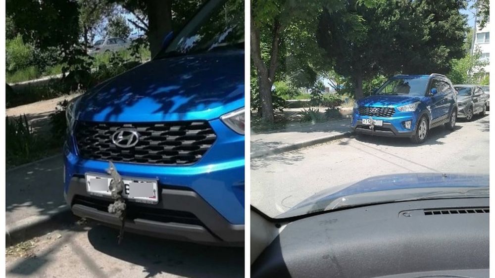 ����������� �����-��: � ����������� ����������� �������� ��� ������ ������������ �������� ������