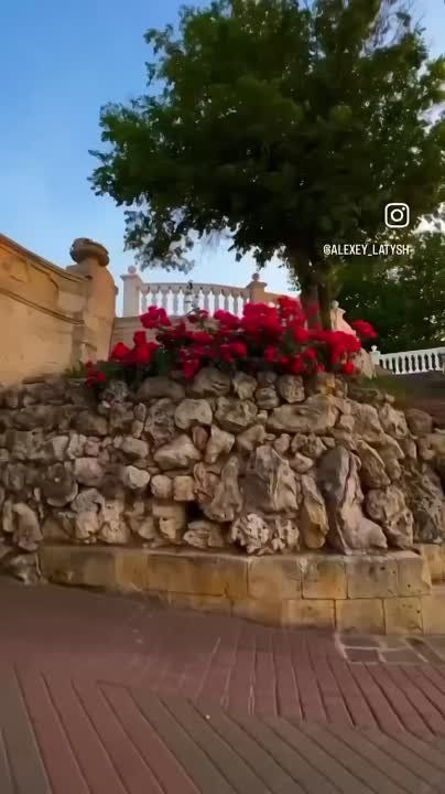 �������� ���������� �����������