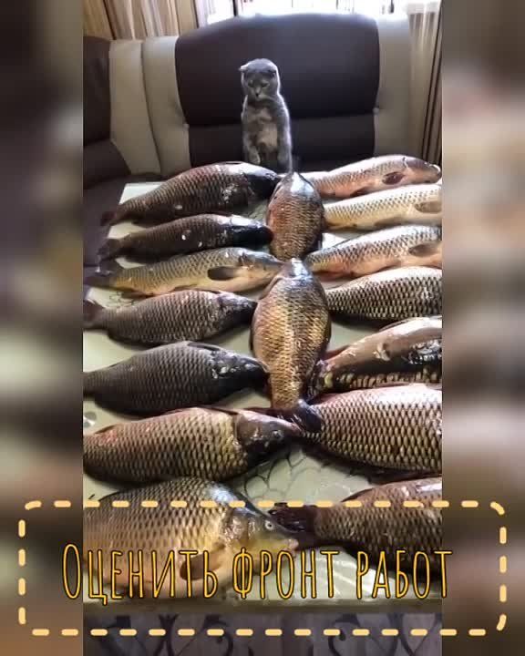 #���������. ������ ��������� ����, ������� �����!