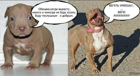 ��������� ��������: ��� ������� ���������� ������ �������� �� �������� �������� �������� �����