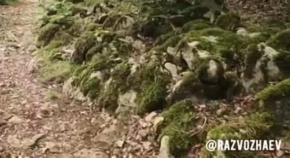 ���������� ����������� ������� ������ �������