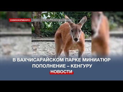 � �������������� ����� �������� ��������� ����� �������