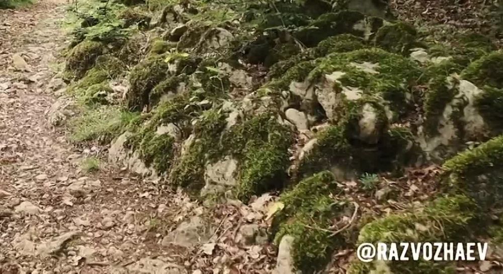 ����-���� ������ ������!