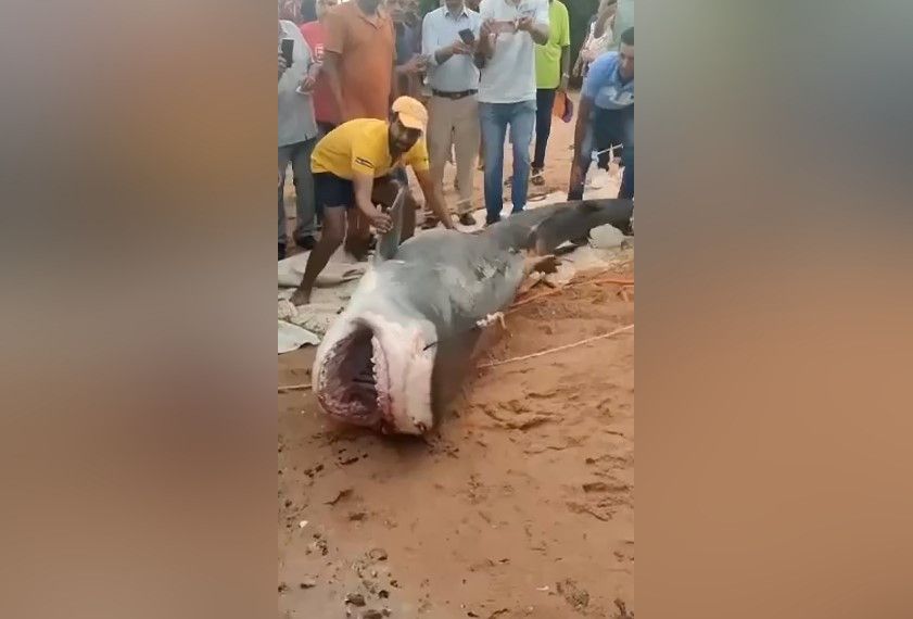 ������� ���������� ����� �������� � �����