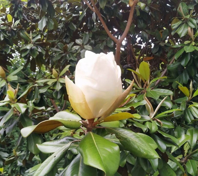 � ����� ��������� ���� �������� ������ ���������� ������