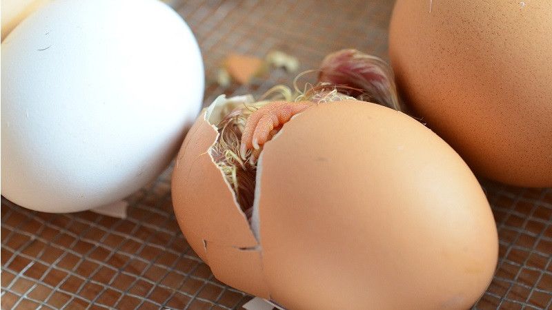 ������ ��������, ��� ���� ������ � ������ ��� ����