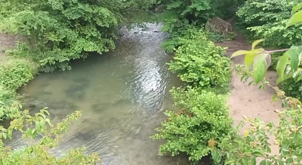 ������� ������: ����� �������� �������, ������� ������ � �����������, ������� ���� ����������� ���������� �������� ����������� ���������� ����� ���, ��� ������������������ � ������������� ����������� �������