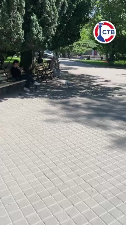 ��������������� ����� ����� �� �������� � ������ ������