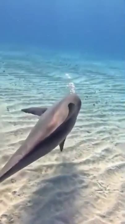 ������� ����?. � ����������� ���� ������� ������������� ���� �����, � ����������� ������� ���������� � ������ ���� �� ������