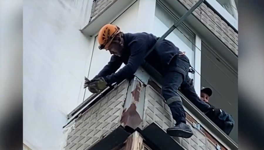 � ����������� ��������� ���������� ������������� ������