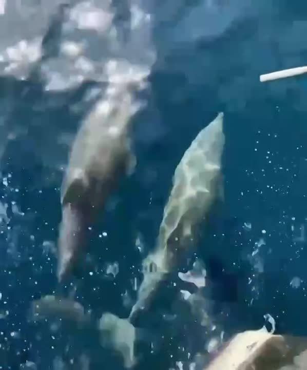 �������� � ���������.. ������ �� ����� ������� ������ ������ � ������, ��� ��� ���� ������������