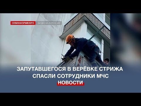 ������������� � ������ ������ ������ ���������� ���������������� ���