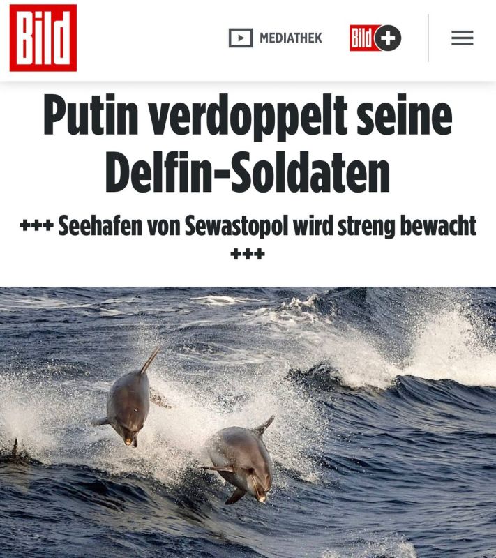 ������ ������ ����������� ����� ������-���������. ������� ���� ����������� ��������� ��� ��������� �������: ������� �� ����������� ����� ������ ��������� � 4 �� 7� �� ���� ����� �������� ������