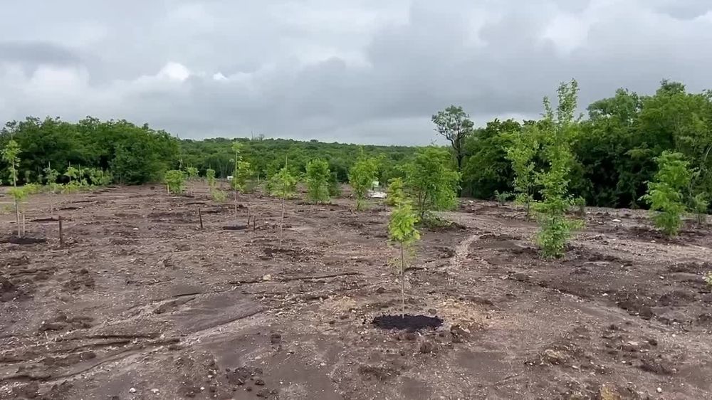 �� ����������� ������� ������ ������ ������ ������ �������