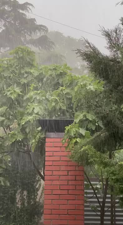 � ���������� ��� ��������, ��� ������������ ����