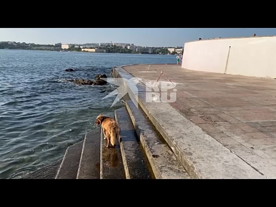 �������� ������� ������ ��� ������