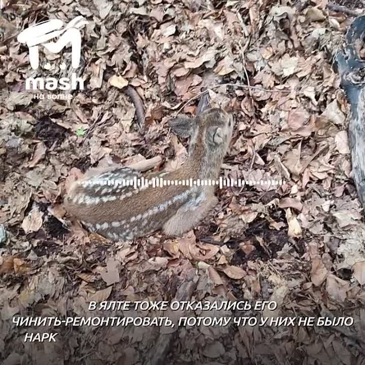 ������� �� ����������� ���� ��������� ������ �� ��������� �����