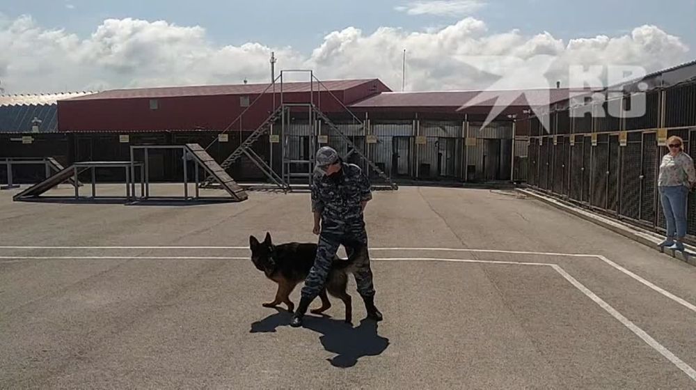 ������ �������: ��� � ����������� �������� �������� � �� ������������ ���������