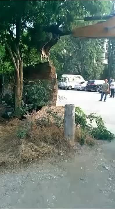 ������� ������: � ��������.