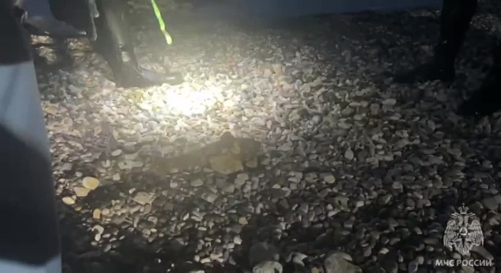 �� ���������� ����� �� ���� ������� ��������� ���������� ���� 82 ��