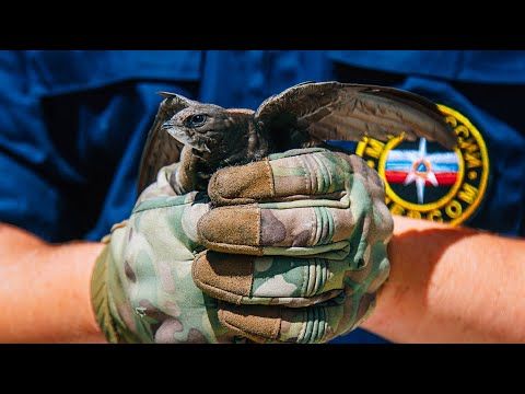 ��� ���� ��������� ��������� �����! ��������� ��� ������ �� ������ ����������� ��������� ��������� ��������� ������, �������� �� ������� ������
