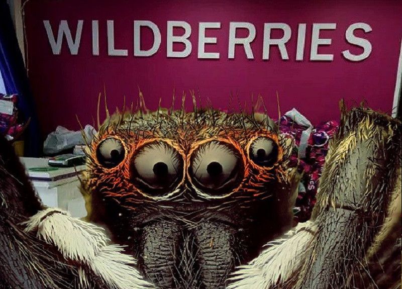 �� �����, � ��������, � ���������!� ��� Wildberries �������� � �������� ���������
