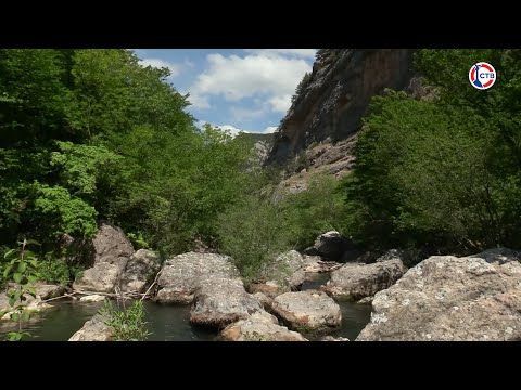 � ����������� ������������ ���������� ���������� �������� ������������