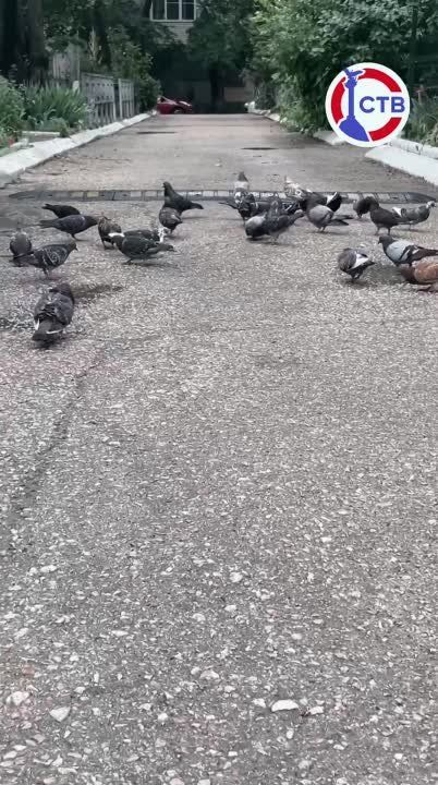 ��� ��� ����������� ������������ ������?
