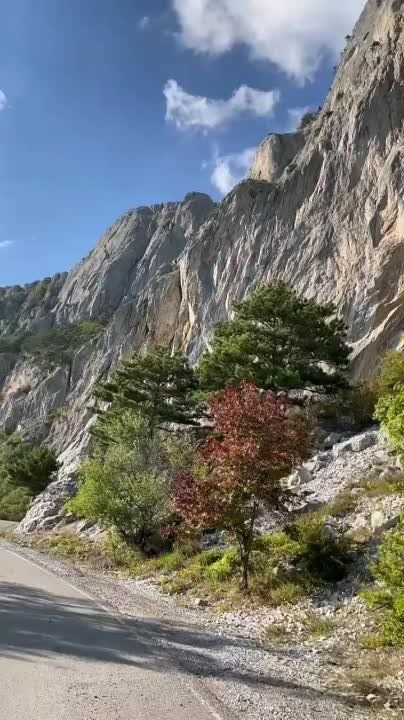 � ������ �����!. ��� ����-���� � �� ����� ���������� �������, ������ ��� ��������� ���������