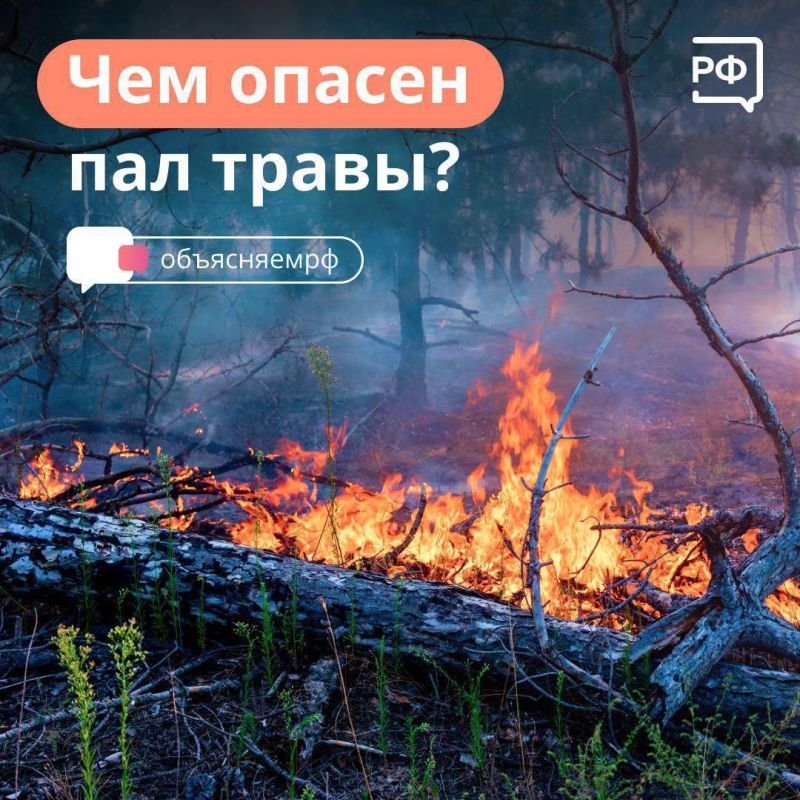� ����� ������������� ����������, ���������� ���� �������� ������������