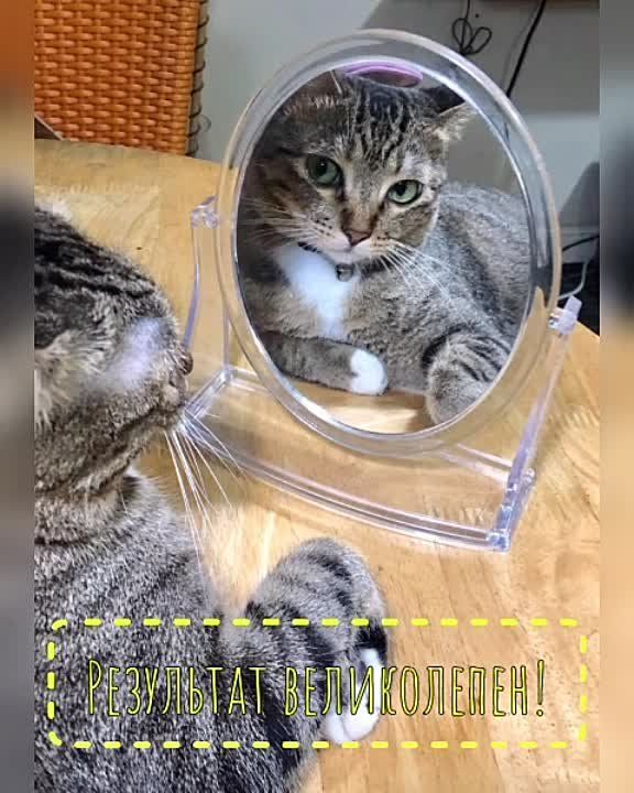 #���������. ������ ��������� ����, ������! ���� ����� ������, ���� ������� ��� � ������ ������. ��� � �� ����, �������� ���� � ������� ����� ������ ������ ������.... �� ������� �� ������