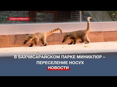 25 ������������ ����� �������� � ����� ���������� ������ � �������������� ����� ��������