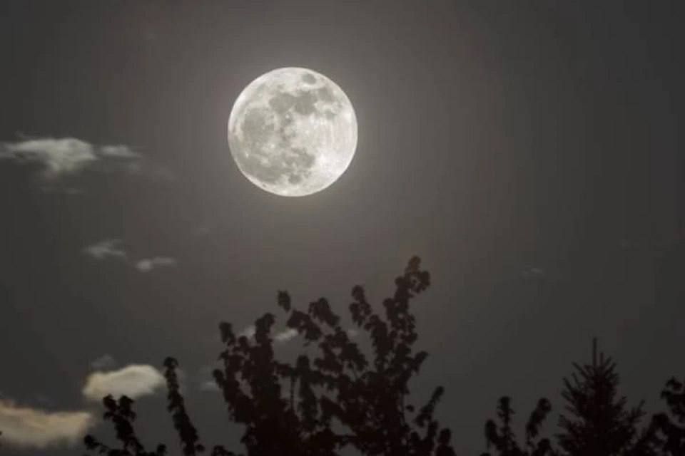 �������� ��������� 3 ���� 2023: ������������ ���� ��������� ������, ������������� � ��������� ����