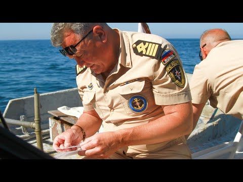 � ������� ����� �������? ������ ������ ������ ��������������� ���������� ����� ������ � ����������� ����� �� ���� �������...