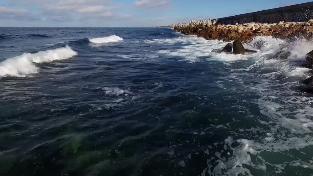 ����������� ��������� �������� ������ ����������� ������������� ����������� ����������� �������� ��������� ��-�������������� ��������������� ��������� � �����