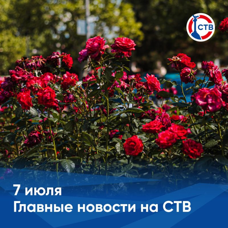 �������� � �������� ������� �������� �� ������